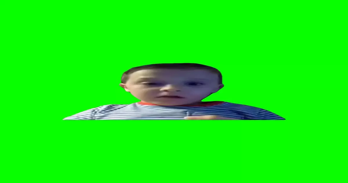 It Is Illegal It Is Inappropriate Green Screen Meme Download Video