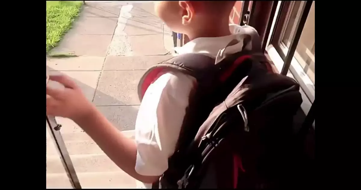 Jayden Bus Is Here Meme Download Video