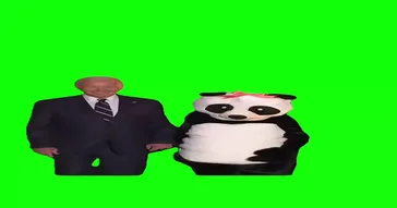 Joe Biden And Jill Dressed As Panda On Halloween Meme Download Video