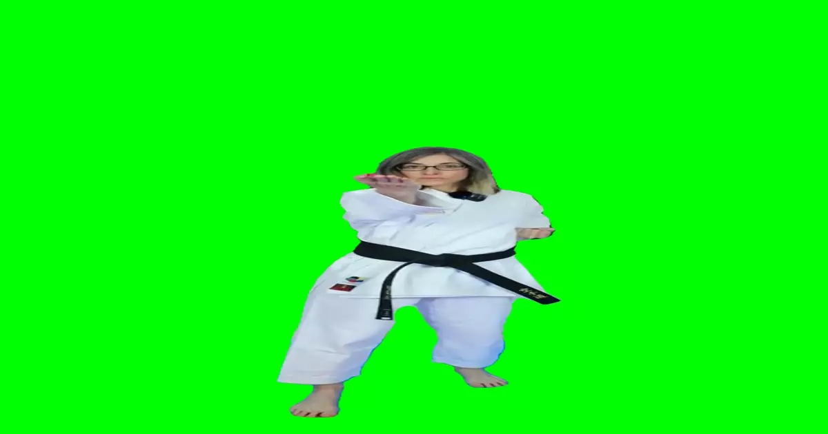 Karate Middle Finger Meme Download Video