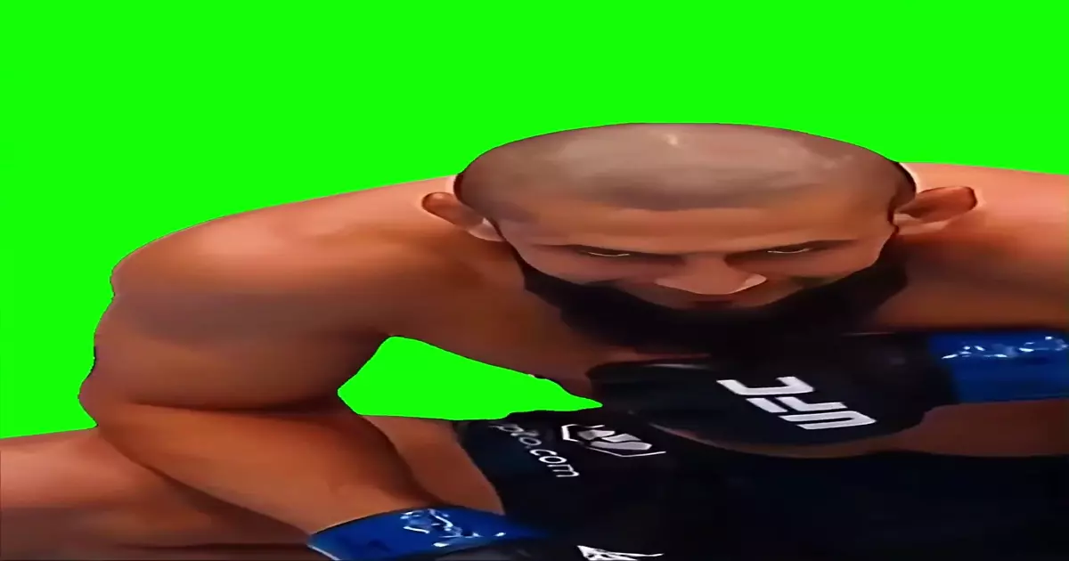 Khazmat Stare Green Screen Meme Download Video