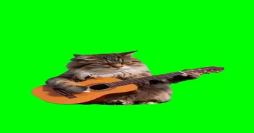 Cat Playing Guitar Meme Download | Video & Audio Meme Video