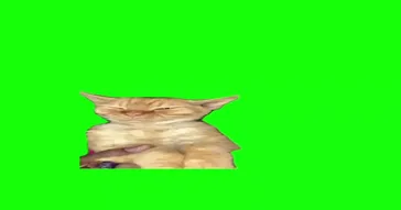 Kitty Cat Shake It To The Max Meme Download | Video & Audio Meme Video