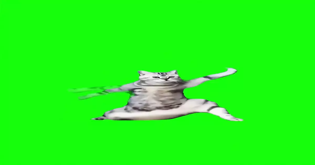 Kung Fu Cat Dancing Green Screen Meme Download Video
