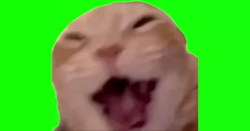 Screaming Cat Aaaaahhhh Green Screen Meme Download Video