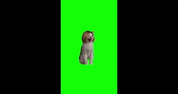 Laughing Cat Hahaha With Music
