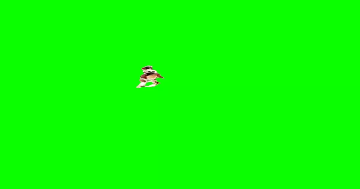 Lemurs Dancing Green Screen Meme Download Video