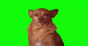 Dog Crying Green Screen Meme Download | Video & Audio Meme Video