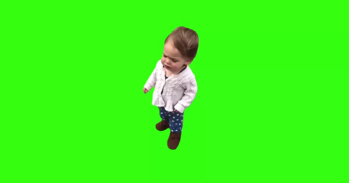 Little Girl Saying No No No No Meme Download Video
