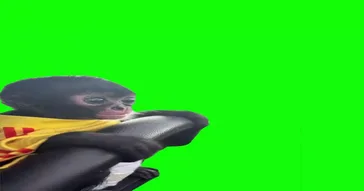 Tired Monkey Green Screen Meme Download | Video & Audio Meme Video