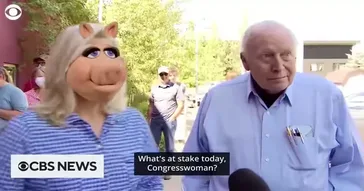 Liz Cheney Interview Funny Meme Video