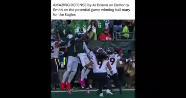 Eagle Looking Meme Download | Video & Audio Meme Video