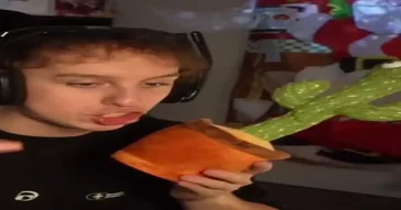 Luxembourgish German Streamer Lets Hugo Gets Inspirational Quote By His Singing Cactus Meme Video