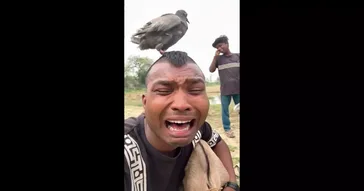 Krrish Ka Gana Sunega Meme Download | Video & Audio Meme Video