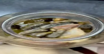 Speaking Gibberish Meme Download | Video & Audio Meme Video