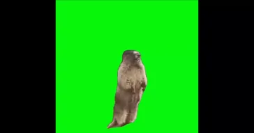Mm2 Knife Green Screen Meme Download | Video & Audio Meme Video