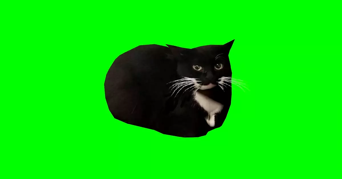 Maxwell The Cat Dancing Green Screen Meme Download Video