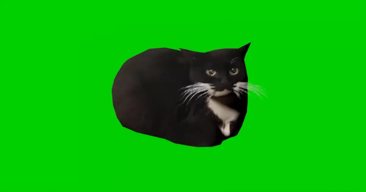 Maxwell The Cat Meme Download Video