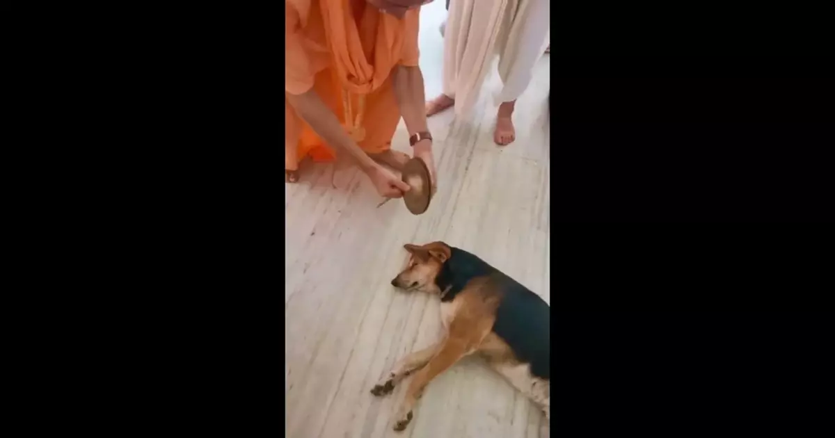 Me In Every Good Morning Meme Download Video