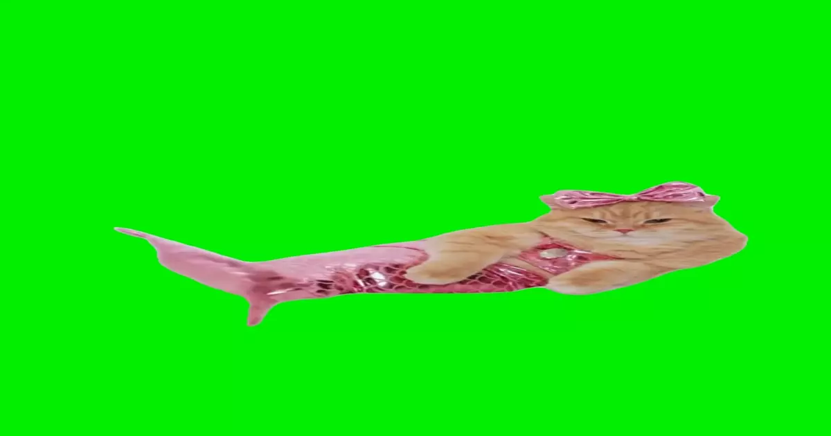 Mermaid Cat Green Screen Meme Download Video
