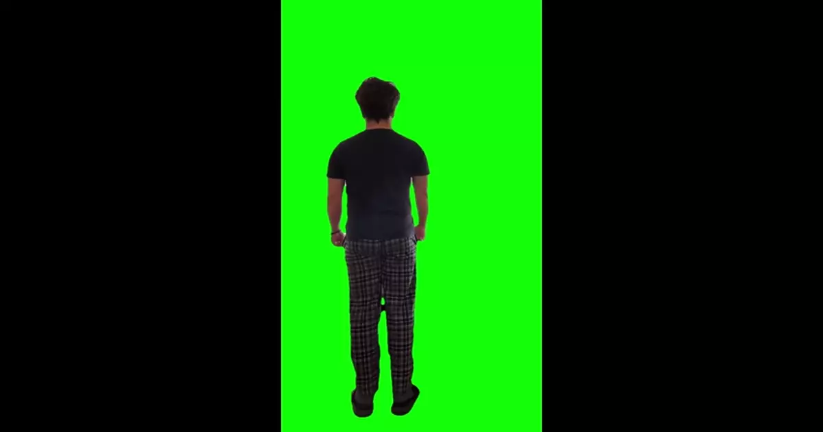 Meyers Dance Green Screen Meme Download Video