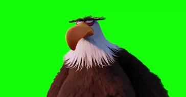 Eagle Looking Meme Download | Video & Audio Meme Video