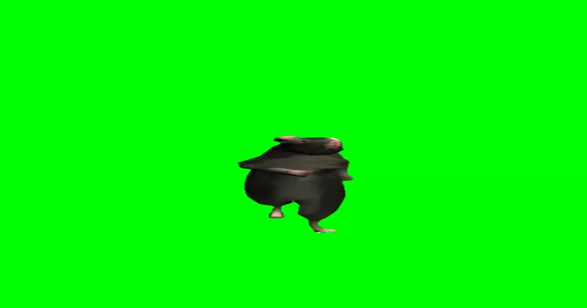 Mingle Rat Dancing Green Screen Meme Download Video
