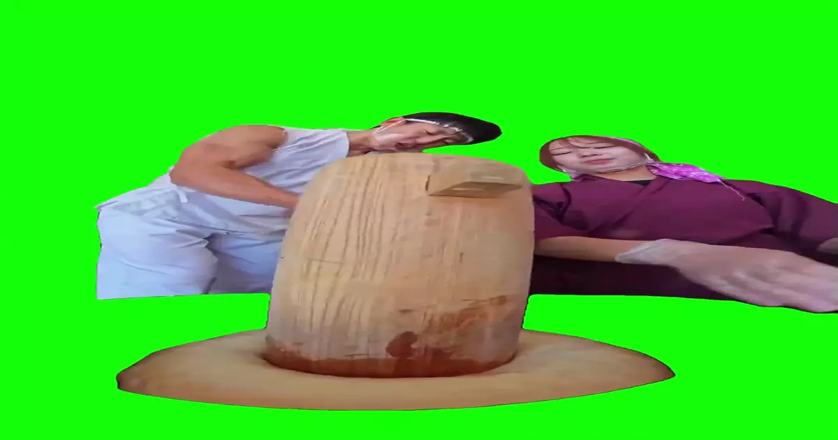 Mochi Pound Meme Download Video