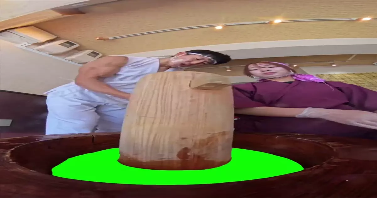 Mochi Pound V2 Green Screen Meme Download Video