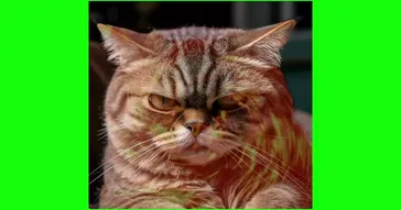 Sadness Monday Mood Green Screen Meme Download | Video & Audio Meme Video