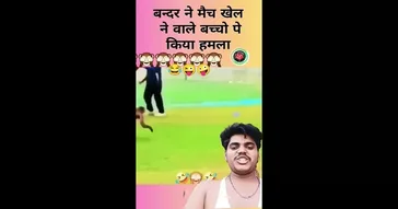 Player 456 Mean Mugging 388 Meme Download | Video & Audio Meme Video