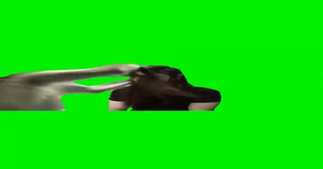 Monkey Calling Meme Download | Video & Audio Meme Video