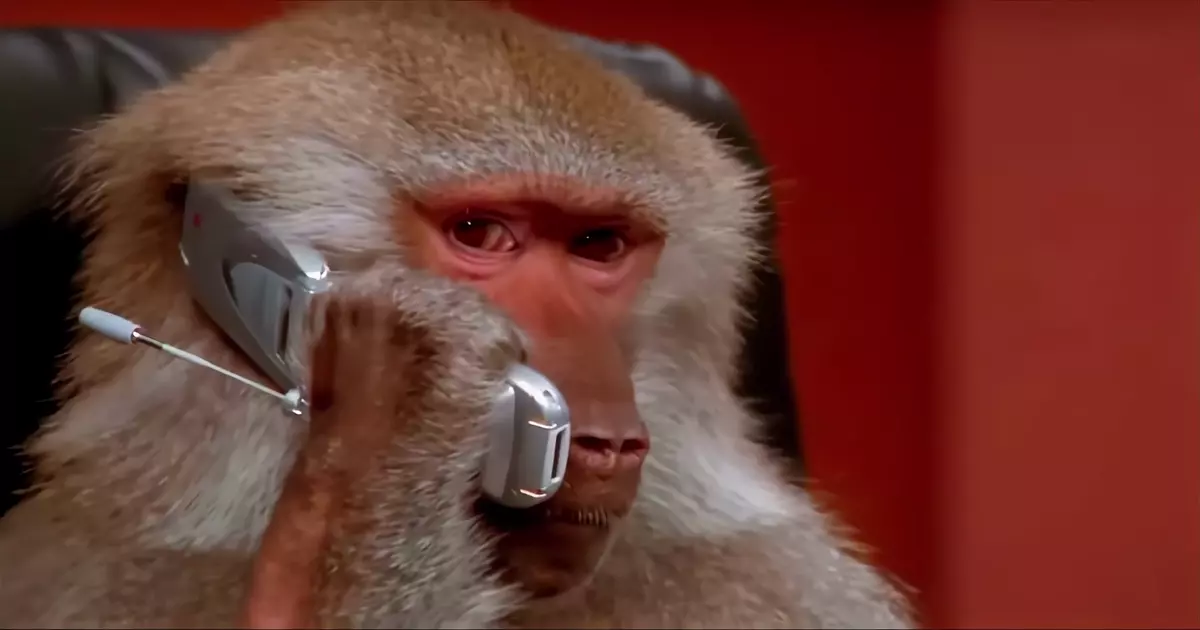 Monkey Calling Meme Download Video