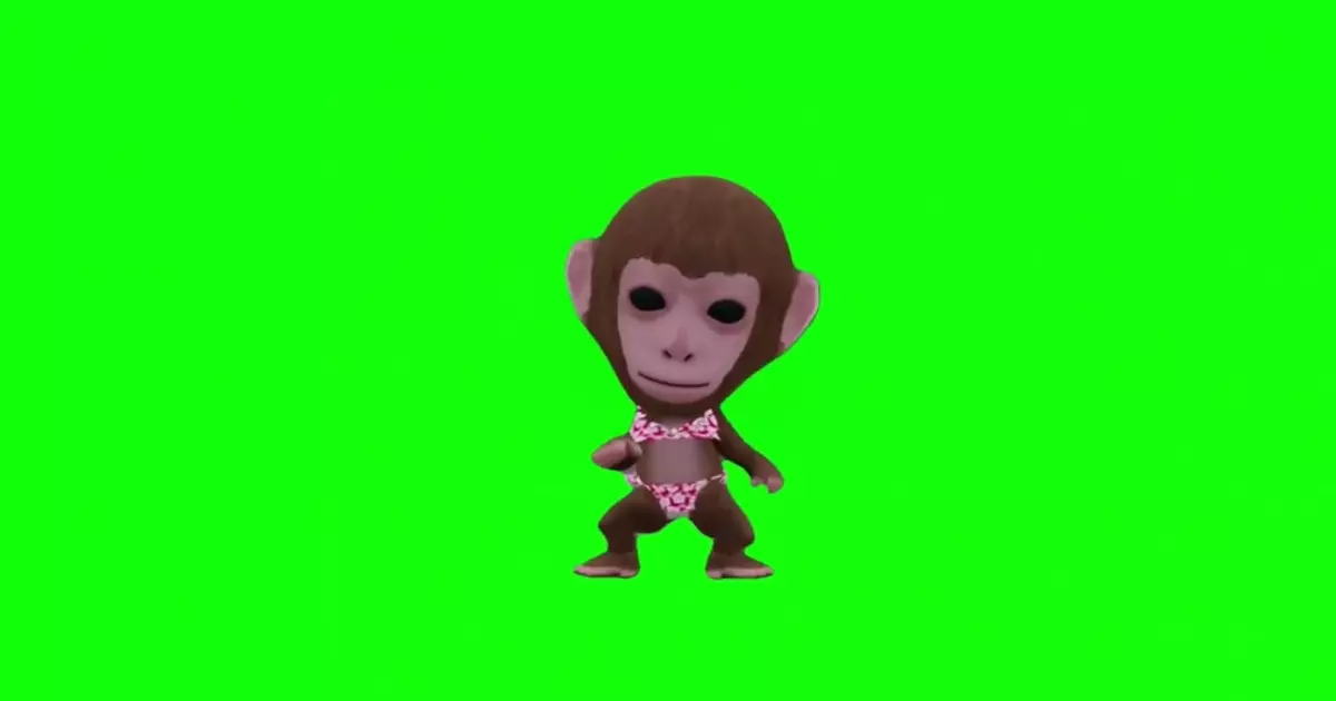 Monkey Don T Hide Green Screen Meme Download Video