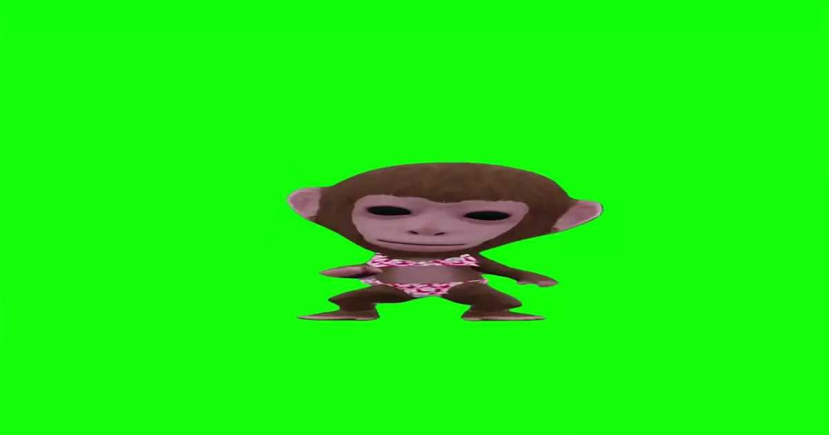 Monkey Dont Hide Green Screen Meme Download Video