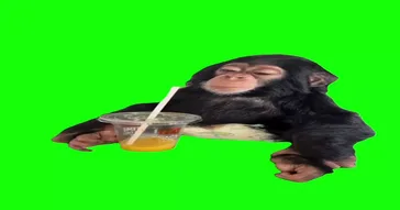 Boy Drinking Tea And Laughing Meme Download | Video & Audio Meme Video