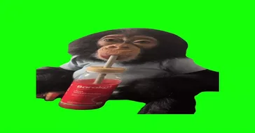 Boy Drinking Tea And Laughing Meme Download | Video & Audio Meme Video