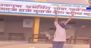 Monkey Hit A Kid While On Punishment Video