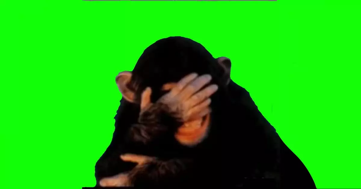 Monkey Laughing Green Screen Meme Download Video