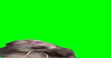 Monkey Chilling Green Screen Meme Download | Video & Audio Meme Video