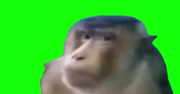 Monkey Side Eye Green Screen Meme Download | Video & Audio Meme Video