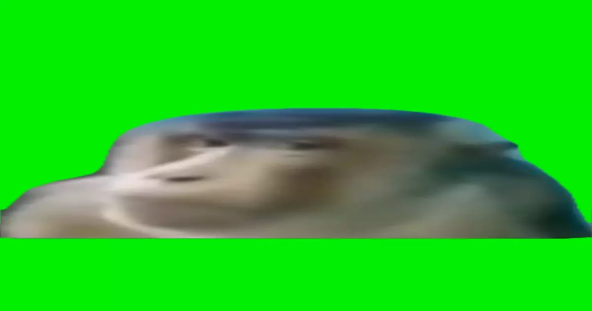 Monkey Side Eye Green Screen Meme Download Video