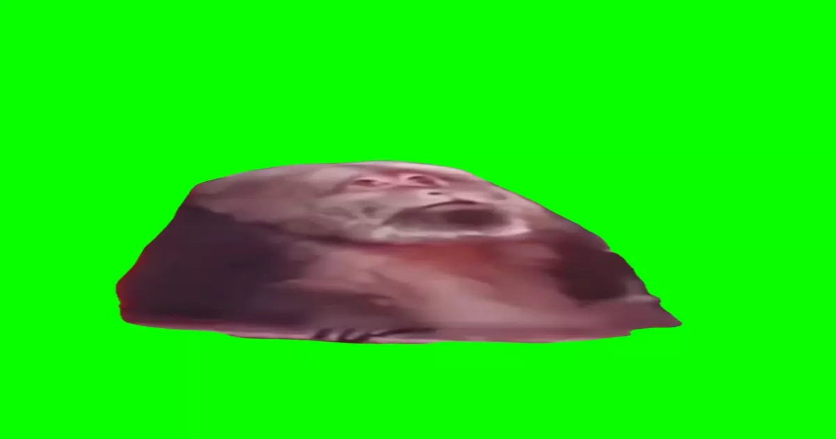 Monkey Sideeye Meme Download Video