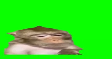 Tired Monkey Green Screen Meme Download | Video & Audio Meme Video