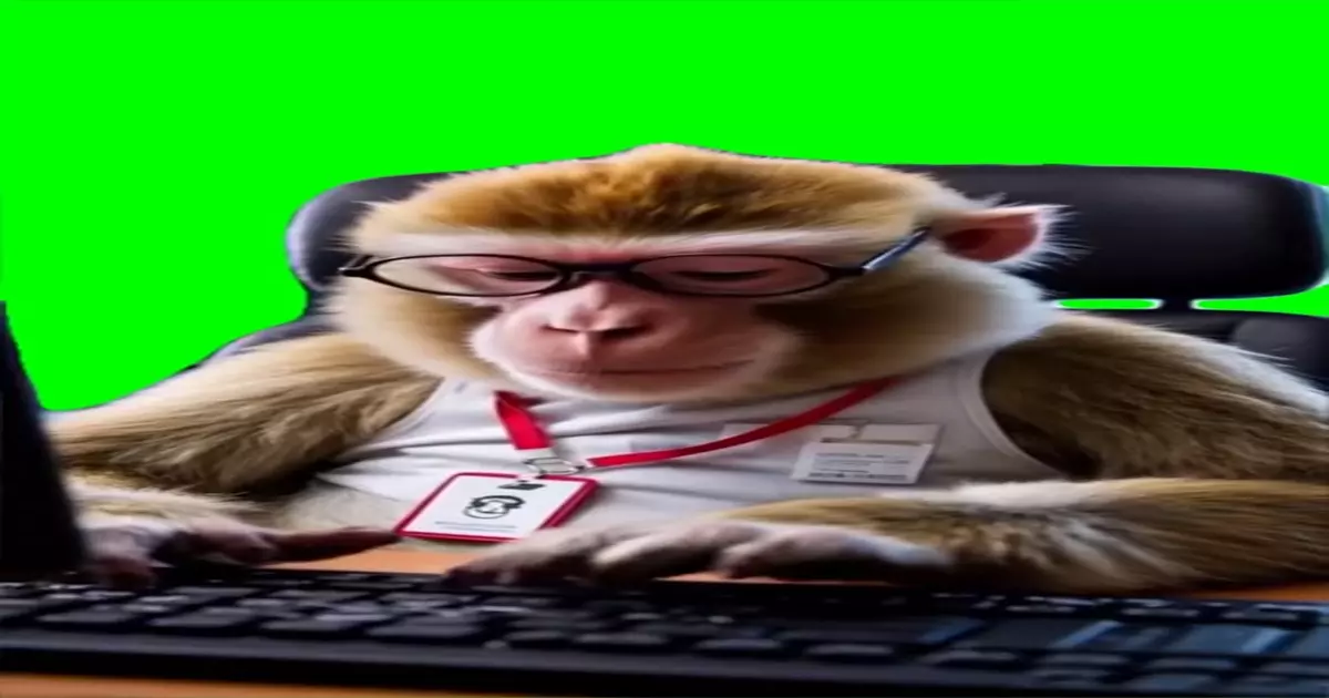 Monkey Working On Keyboard At Office Meme Download Video