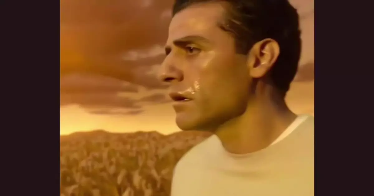 Moonknight Standing In Field Of Reeds Meme Download Video
