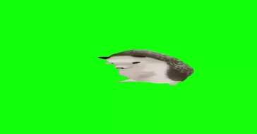 Mother Father Gentleman Hedgehog Green Screen Meme Download Video