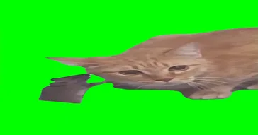 Mouse Eating Food Green Screen Meme Download | Video & Audio Meme Video