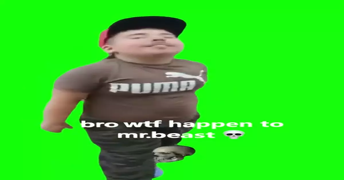 Mr Beast Kid Deep Fake Green Screen Meme Download Video
