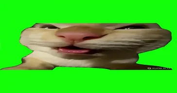 Clash Royale He He He Haw Green Screen Meme Download Video